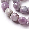 Natural Kunzite Beads Strands G-K331-005D-4