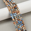 Dyed Natural Regalite/Imperial Jasper/Sea Sediment Jasper Beads Strands G-B124-C04-13-5