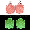 Gradient Color & Luminous Opaque Resin Pendants RESI-S011-01D-2