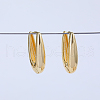 Oval Brass Hoop Earrings WC9098-1