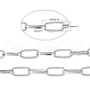 Iron Paperclip Chains CH-R026-19x8mm-P-5