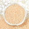 Imitation Cat Eyes Glass Seed Beads X1-SEED-H003-03R-3