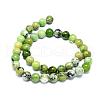 Natural Serpentine Beads Strands G-F576-01-10mm-2
