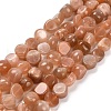 Natural Sunstone Beads Strands G-P568-C19-01-2