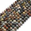 Natural Ocean Jasper Beads Strands G-P573-A25-01-2