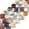 Natural Botswana Agate Beads Strands G-F725-32-1
