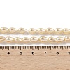 Polished Shell Pearl Beads Strands BSHE-L042-A06-4