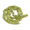 Raw Rough Natural Peridot Beads Strands G-M453-D12-3