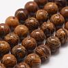 Natural Elephant Skin Jasper/Miriam Stone/Calligraphy Stone Beads Strands G-F512-10mm-1