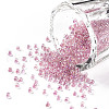 11/0 Grade A Round Glass Seed Beads SEED-N001-E-310-1