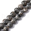 Natural Fluorescent Syenite Rock(Glow under UV Light) Beads Strands G-C179-A39-03-2