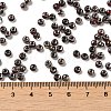 Transparent Inside Colours Glass Seed Beads SEED-H002-A-C224-4