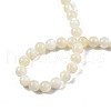 Natural White Shell Bead Strands X-SSHEL-N003-144D-01-4