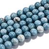 Natural Gemstone Beads Strands G-L367-01-12mm-4