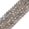 Natural Grey Moonstone Beads Strands G-G206-A01-8mm-2