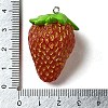 Opaque Resin Fruit Pendants RESI-E056-02P-3