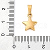 304 Stainless Steel Charms STAS-I127-067G-3