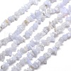 Natural Blue Lace Agate Chips Beads Strands G-M205-50-1