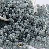 Glass Seed Beads X1-SEED-M011-02A-09-1