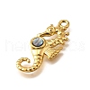 304 Stainless Steel Pave Natural Paua Shell Pendants STAS-C122-21D-01G-2