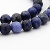 Sodalite Round Bead Strands G-P070-46-4mm-1