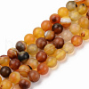 Natural Sardonyx Beads Strands G-S369-002C-A02-1