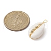 5Pcs Natural Cowrie Shell Copper Wire Wrapped Pendants PALLOY-JF02277-01A-2