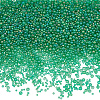SUNNYCLUE 100G Bubble Beads GLAA-SC0002-34B-1
