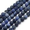 Frosted Natural Sodalite Round Bead Strands G-M064-10mm-01-1