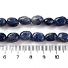 Natural Sodalite Beads Strands G-G146-A03-01-5