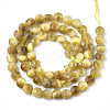 Natural Tiger Eye Beads Strands G-T108-10-2