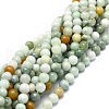 Natural Myanmar Jade Beads Strands G-E576-08A-4