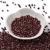 Baking Paint Glass Seed Beads SEED-S042-15A-19-2