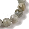 10mm Round Natural Labradorite Braided Bead Bracelets BJEW-C067-01C-14-3