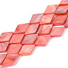 Dyed Natural Freshwater Shell Beads Strands SHEL-T020-13F-1