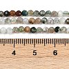 Natural Moss Agate Beads Strands G-RM2025-A33-3mm-5