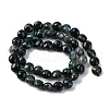 Natural Moss Agate Beads Strands G-C179-A21-03-3