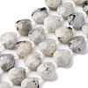 Natural Labradorite Beads Strands G-P570-E18-02-2