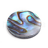 Natural Abalone Shell/Paua Shell Cabochons X-SSHEL-L017-001-2