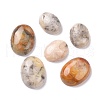 Natural Crazy Agate Cabochons G-P468-16A-02-1