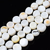 Natural Trochid Shell/Trochus Shell Beads Strands SHEL-S258-083-A01-1