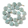 Natural Amazonite Beads Strands G-C116-A158-03-3