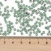 TOHO Round Seed Beads SEED-XTR08-2202-4