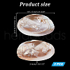  2Pcs Natural Freshwater Pearl Shell Decoration SHEL-NB0001-64-2