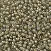 TOHO Round Seed Beads X-SEED-TR08-0369-2