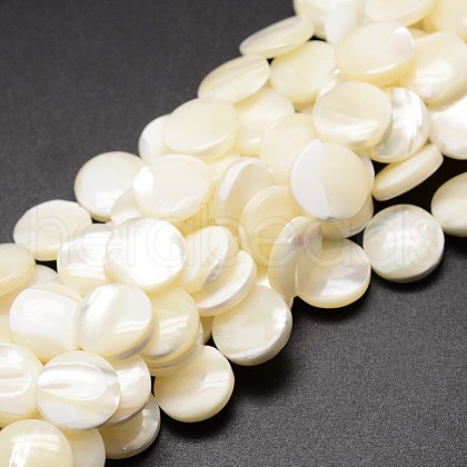 Natural Trochid Shell/Trochus Shell Beads Strands SSHEL-K016-03-1