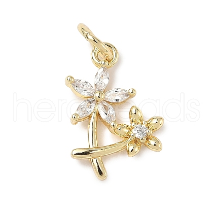 Brass Micro Pave Cubic Zirconia Charms ZIRC-I356-32G-1