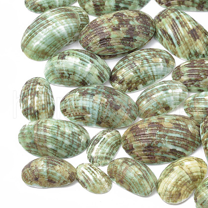 Spiral Shell Beads SSHEL-S258-09-1