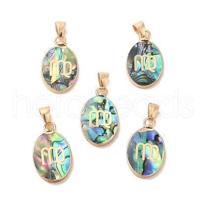 Constellation Natural Paua Shell Pendants KK-P265-01G-11-1