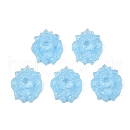 Transparent Resin Cabochons CRES-S302-48-1